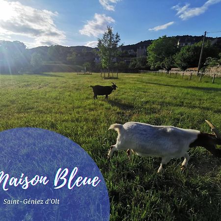 Au 11 T3 Duplex, Village Vacances, Piscines, Parking Saint-Geniez-dʼOlt Eksteriør billede